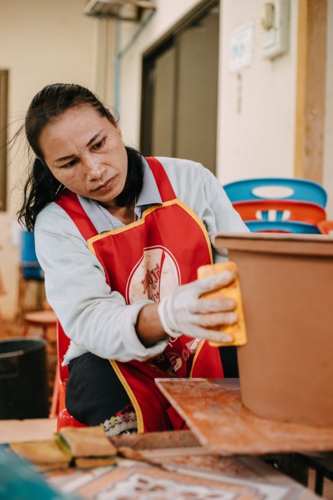 TerraClear – Clean Water for Laos